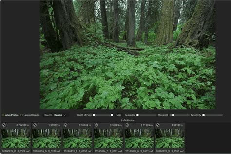 7 Best Focus Stacking Software in 2024.